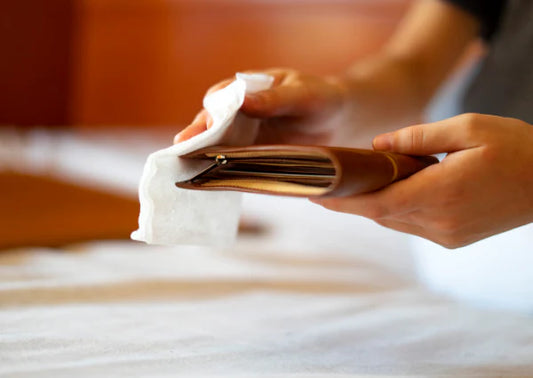 Leather Cleaning and Maintenance Tips
